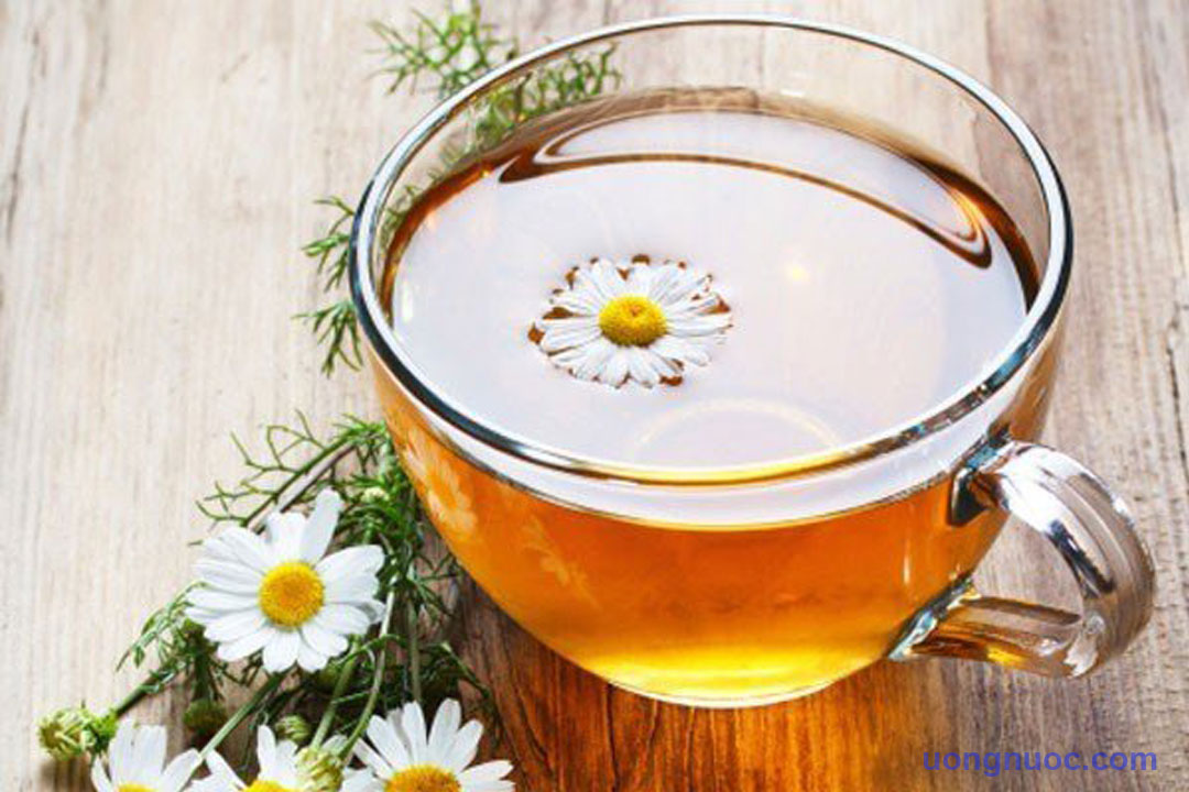 Cách làm nước Detox trà xanh, gừng thải độc hiệu quả